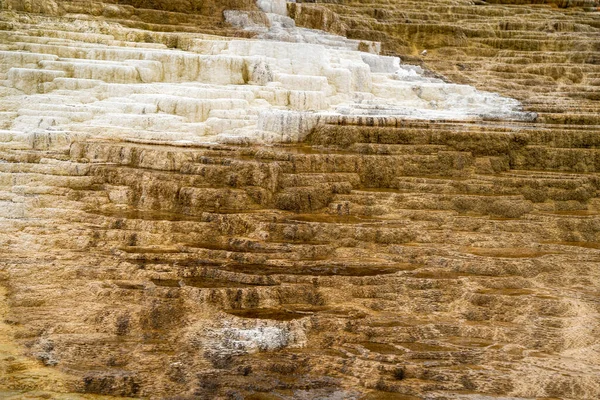 Vista Cerca Las Terrazas Minerales Formadas Mammoth Hot Springs Parque — Foto de Stock