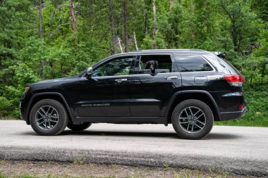 Spearfish, Güney Dakota - 22 Haziran 2020: tapılası Kara Labrador Retriever köpeği kafasını Grand Cherokee SUV arabasının camından dışarı çıkardı