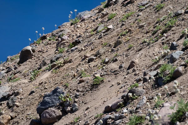 Skalnaté Útesy Podél Okraje Národního Parku Crater Lake Abstraktní Složení — Stock fotografie