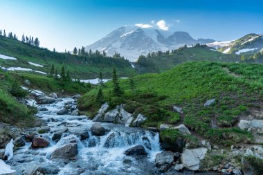 Myrtle Falls Şelalesi Washington 'daki Rainier Dağı Ulusal Parkı Cennet Vadisi' nde.