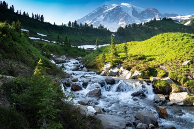 Myrtle Falls Washington 'daki Rainier Dağı Ulusal Parkı' nda.
