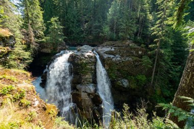 Nooksack Şelalesi Dağı 'nda. Baker-Snoqualmie Ulusal Ormanı Washington Eyaleti