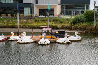 Seaside, Oregon - 31 Temmuz 2020: Neawanna Deresi ve Necanicum Nehri boyunca kürek çekmek için Kuğu sürat teknesi kiralanabilir