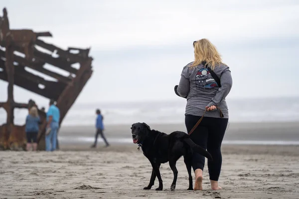 Астория Орегон Июля 2020 Года Женщина Выгуливает Черного Лабрадора Ретривер — стоковое фото