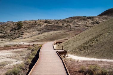 John Day Fosil Yatakları Ulusal Anıtı Oregon 'daki Boyalı Koyun Doğa Yolu' ndan geçen tahta yol.