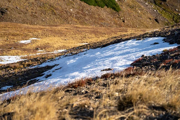 Śnieg Wysokogórskiej Tundrze Parku Narodowym Rocky Mountain Śnieg Pozostaje Tutaj — Zdjęcie stockowe