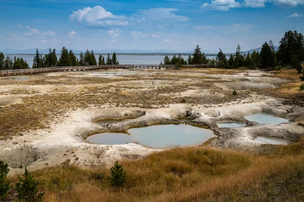 Mimulus Pool Termisk Funktion West Thumb Geyser Basin Yellowstone National — Stockfoto