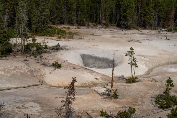 Mud Vulkaan Zwavel Ketel Zijn Modder Potten Fumaroles Yellowstone National — Stockfoto
