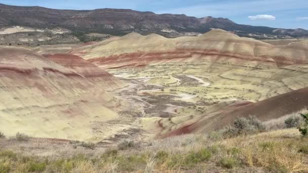 Festett Dombok Kilátás John Day Fosszilis Ágyak Nemzeti Emlékműve Oregon — Stock videók