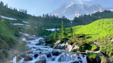 Myrtle Falls Washington 'daki Rainier Dağı Ulusal Parkı' nda.