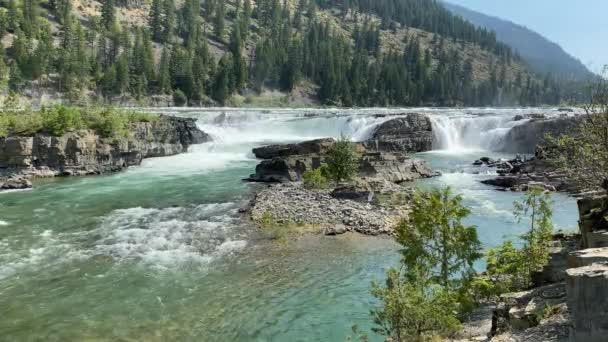 Водоспад Водоспаду Кутенай Північній Монтані Національному Лісі — стокове відео