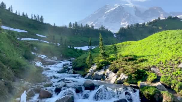 Myrtle Falls Washington Daki Rainier Dağı Ulusal Parkı Nda — Stok video