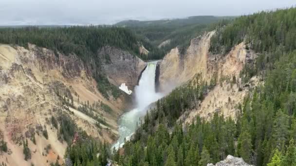 Wasserfall Grand Canyon Des Yellowstone Yellowstone Nationalpark — Stockvideo