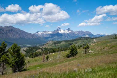 Beautiful meadow along the Beartooth Highway, lookout out at the Absaroka range clipart