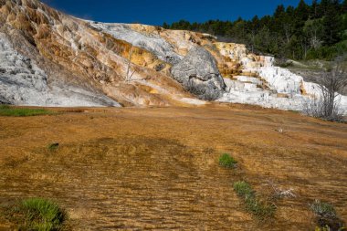 Yellowstone Ulusal Parkı 'ndaki Mamut Kaplıcaları' nın geniş açılı manzarası