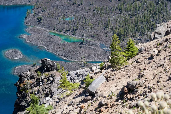 Pobřeží Strmých Skal Lávy Malých Borovic Národního Parku Kráterové Jezero — Stock fotografie