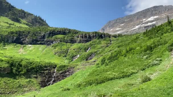 Idąc Słoneczną Drogę Parku Narodowym Glacier Montana Słoneczny Letni Dzień — Wideo stockowe