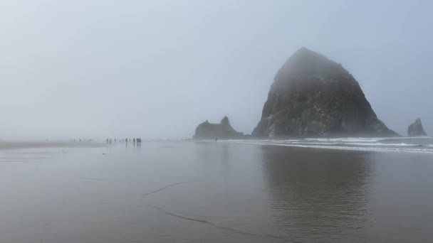 Extrémně Mlhavý Výhled Haystack Rock Cannon Beach Oregon Během Dopoledne — Stock video