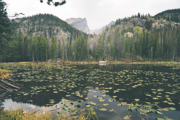Lago Ninfa Parque Nacional Las Montañas Rocosas Colorado — Foto de Stock