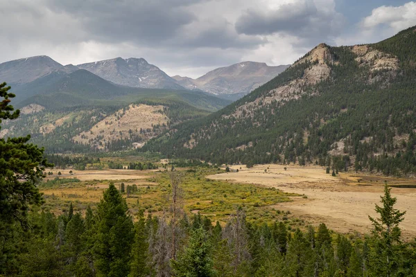 Horseshoe Park Padang Rumput Yang Indah Lembah Rocky Mountain National — Stok Foto