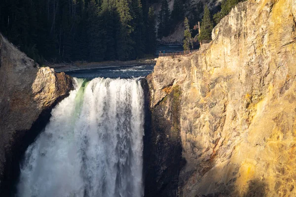 Brink Cachoeira Lower Falls Grand Canyon Yellowstone National Park — Fotografia de Stock