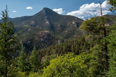 Mountain scenery on the Barr Trail, leading up to Pikes Peak in Colorado clipart