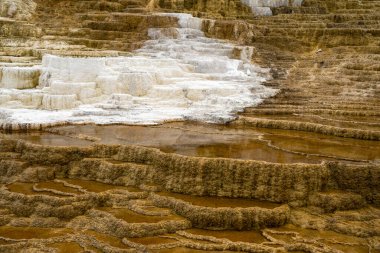 Yellowstone Ulusal Parkı 'ndaki Mammoth Kaplıcaları' ndaki mineral teraslarının yakın görüntüsü. Soyut arkaplanlar için kullanışlı