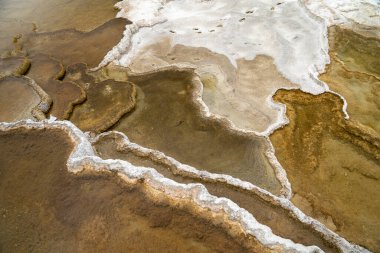 Yellowstone Ulusal Parkı 'ndaki Mammoth Kaplıcaları' ndaki mineral teraslarının yakın görüntüsü. Soyut arkaplanlar için kullanışlı