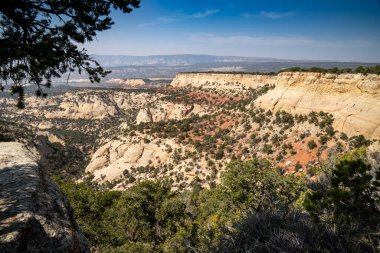 Canyon overlook in Dinosaur National Monument clipart