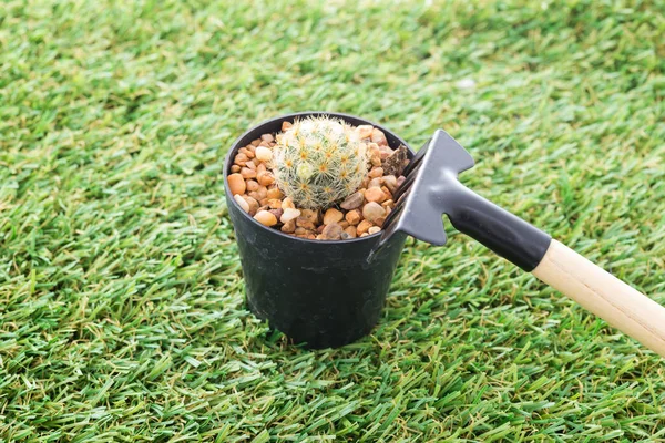 Cactus and rake Hand Gardening Tools