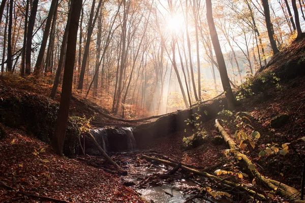 Mini Waterfall Autumn Forest Sunrise — Stock Photo, Image