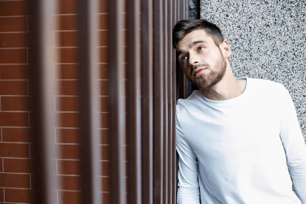 Genç bir adam şehrin sokaklarında dolaşıyor. Çocuk güneş gözlüğü şık adamın binanın yanında. Adam bir kamçı üzerinde oturur. Sakal ve saç, şık bir adamda.