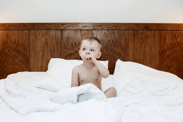 The child is in bed. Boy on a big bed between a blanket and a pillow. A little baby is sitting in bed and eating. The child who is indulging.