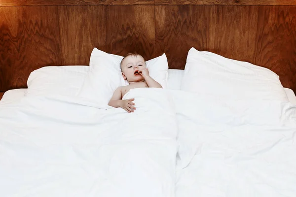 The child is in bed. Boy on a big bed between a blanket and a pillow. A little baby is sitting in bed and eating. The child who is indulging.
