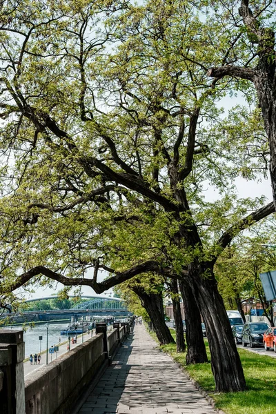 Krakow şehir sokak. Eski şehir. Toplu taşıma sokaklarda. Tramvaylar ve otobüsler. Polesha. Şehir Merkezi.