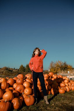 Genç kadın kabak bir çiftlikte. Kabaklar yakınındaki güzel kız. Bir kızla bir kabak. Kabak alan.