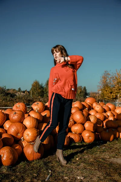 Young woman on a pumpkin farm. Beautiful girl near pumpkins. A girl with a pumpkin. Pumpkin Field.