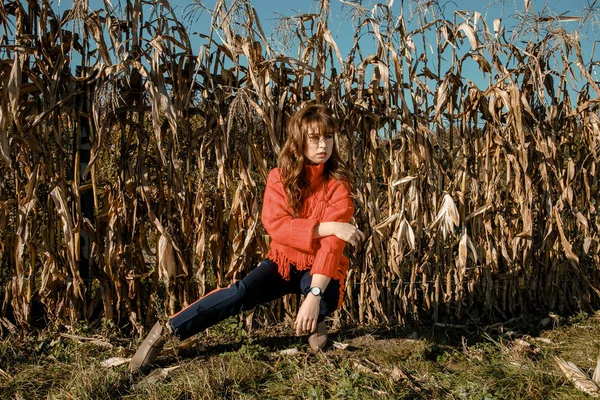 Молодая Счастливая Девушка Которая Находит Урожай Кукурузы Поле Прекрасный Молодой — стоковое фото