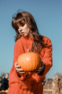 Genç kadın kabak bir çiftlikte. Kabaklar yakınındaki güzel kız. Bir kızla bir kabak. Kabak alan.