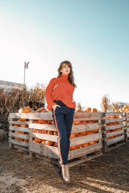 Genç kadın kabak bir çiftlikte. Kabaklar yakınındaki güzel kız. Bir kızla bir kabak. Kabak alan.