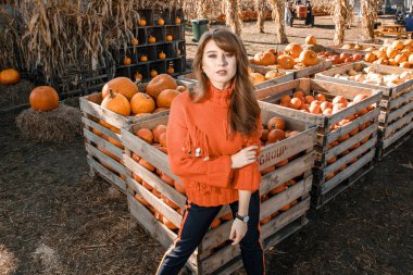 Genç kadın kabak bir çiftlikte. Kabaklar yakınındaki güzel kız. Bir kızla bir kabak. Kabak alan.