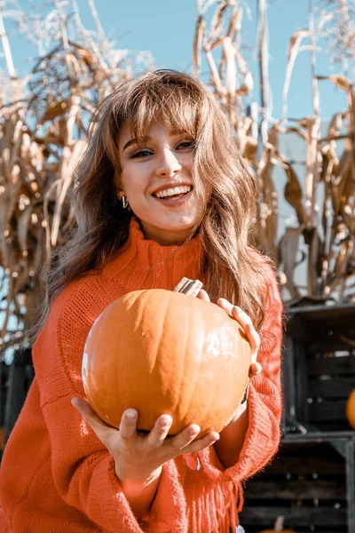 Young woman on a pumpkin farm. Beautiful girl near pumpkins. A girl with a pumpkin. Pumpkin Field.