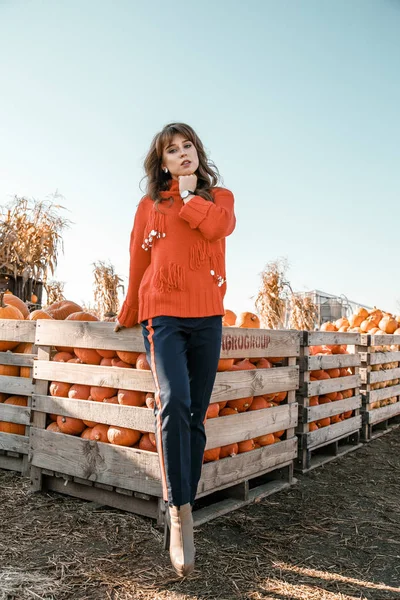 Young woman on a pumpkin farm. Beautiful girl near pumpkins. A girl with a pumpkin. Pumpkin Field.