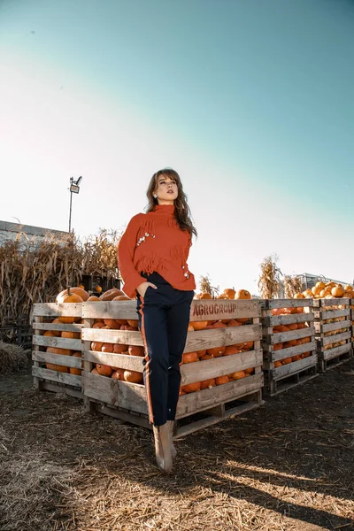 Genç kadın kabak bir çiftlikte. Kabaklar yakınındaki güzel kız. Bir kızla bir kabak. Kabak alan.