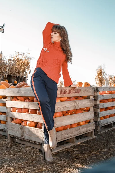 Young woman on a pumpkin farm. Beautiful girl near pumpkins. A girl with a pumpkin. Pumpkin Field.