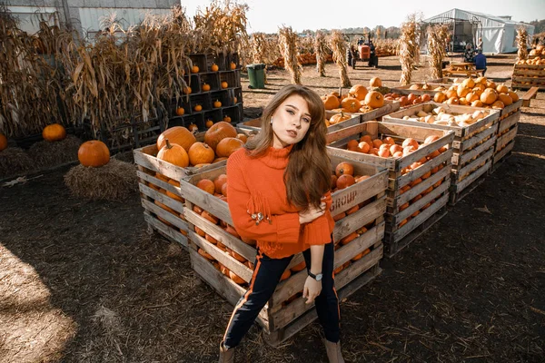 Young woman on a pumpkin farm. Beautiful girl near pumpkins. A girl with a pumpkin. Pumpkin Field.