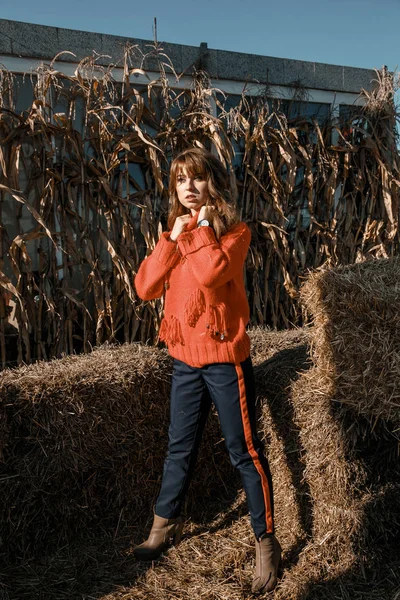 Young woman near corn. beautiful girl in the village. Autumn.