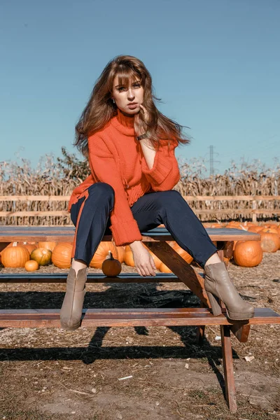 Una Joven Cerca Del Maíz Hermosa Chica Pueblo Otoño — Foto de Stock