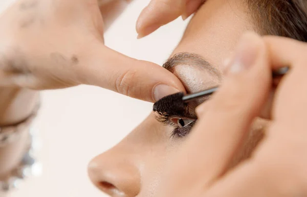 Eyebrow brushes. Black eyebrow brushes on the table. Cosmetic devices for eyebrow correction on the table. Flowers out of focus on the table