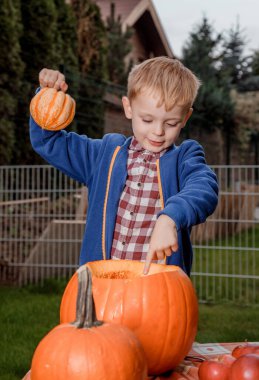 Balkabaklı çocuk. Küçük bir çocuk portakal kabağı keser. Cadılar Bayramı için hazırlanıyorum. Turuncu ve siyah renkler.